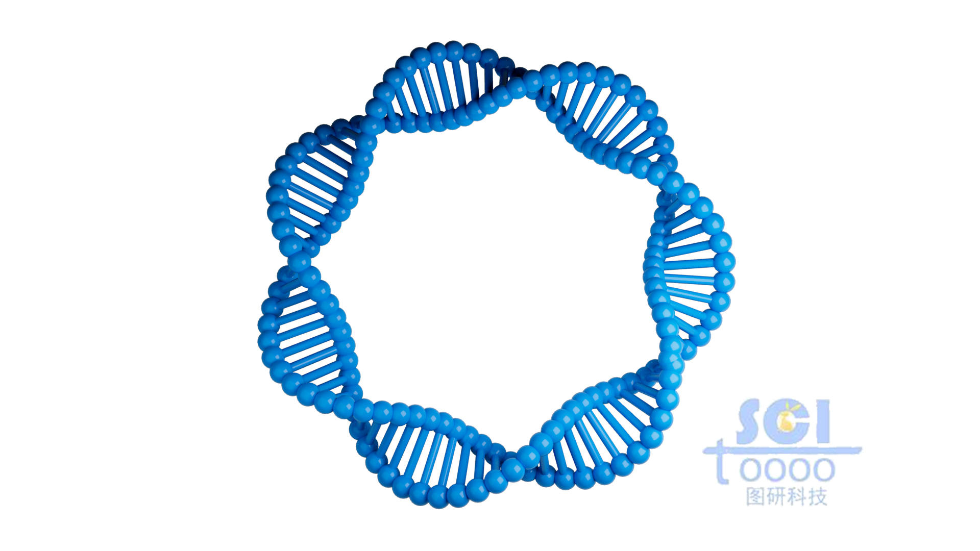 質粒DNA