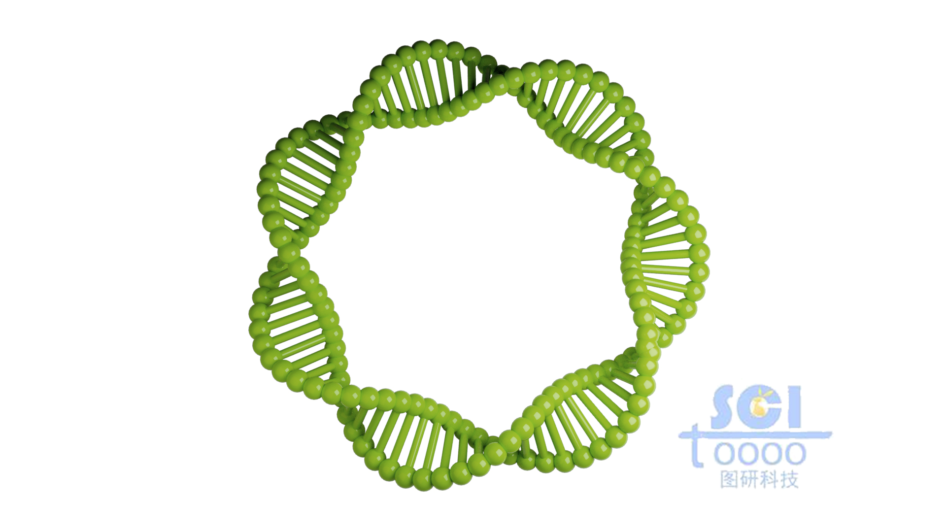 質粒DNA
