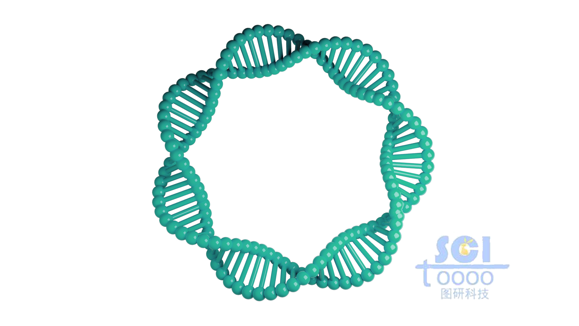 質粒DNA