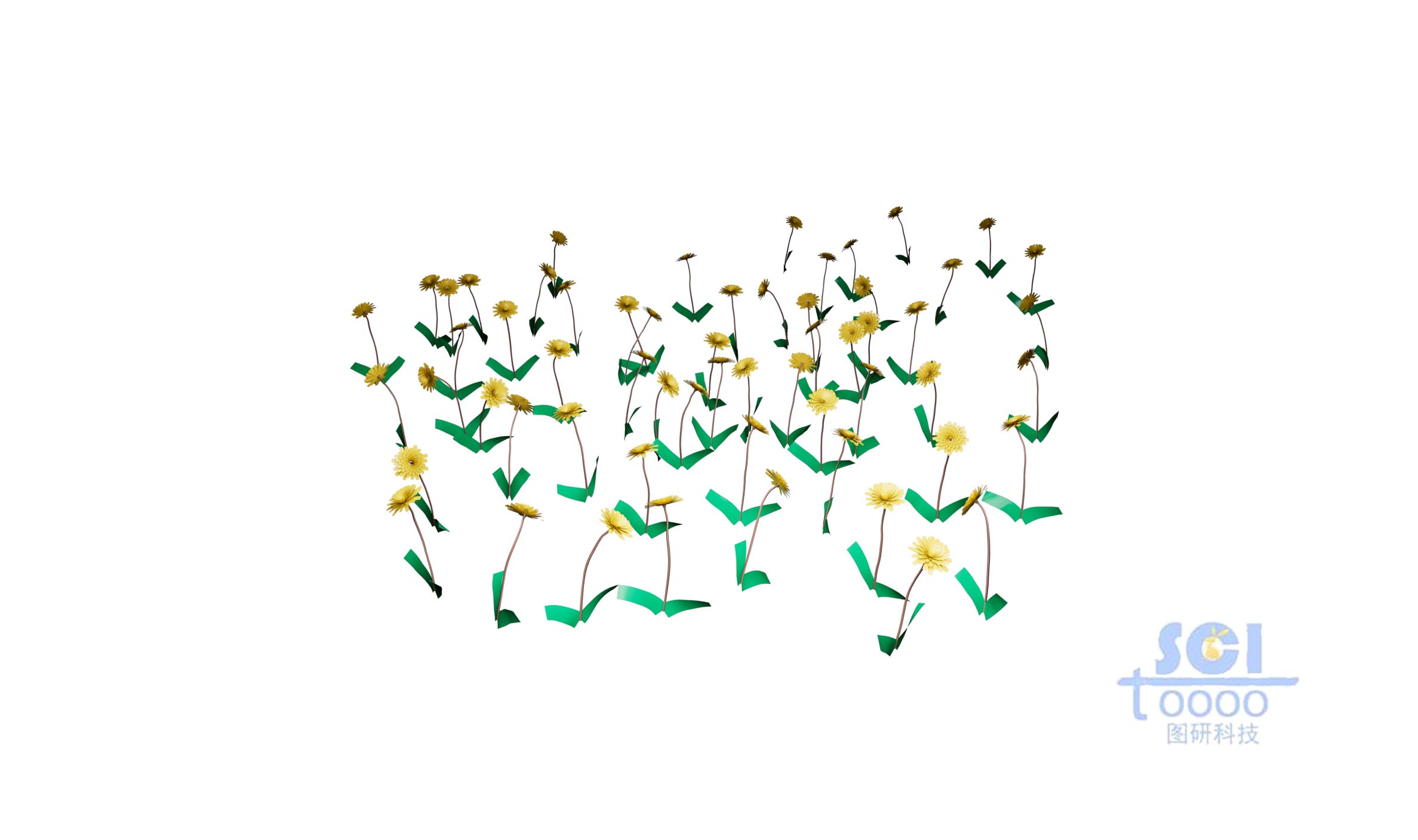 一片花叢