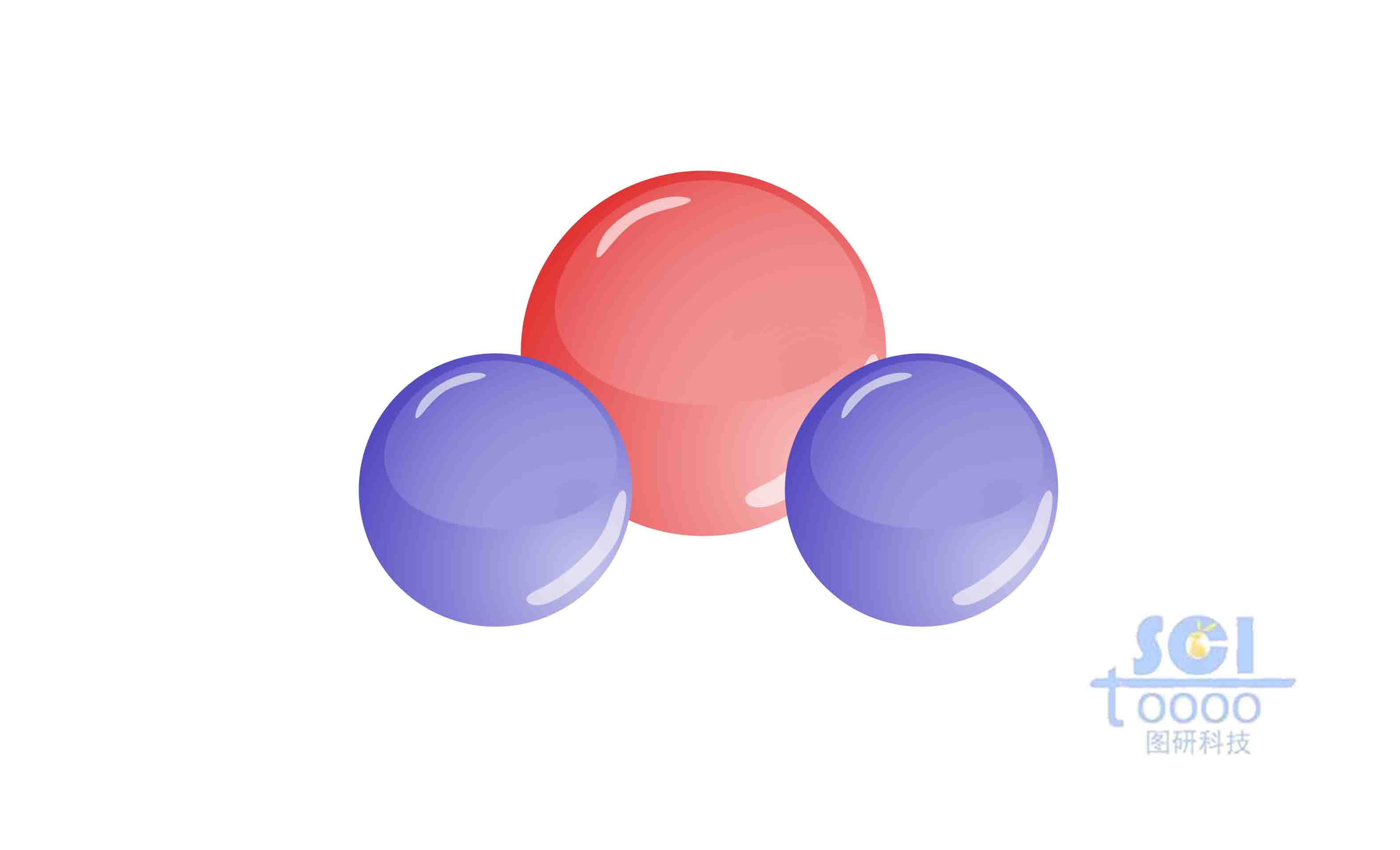 分子結構