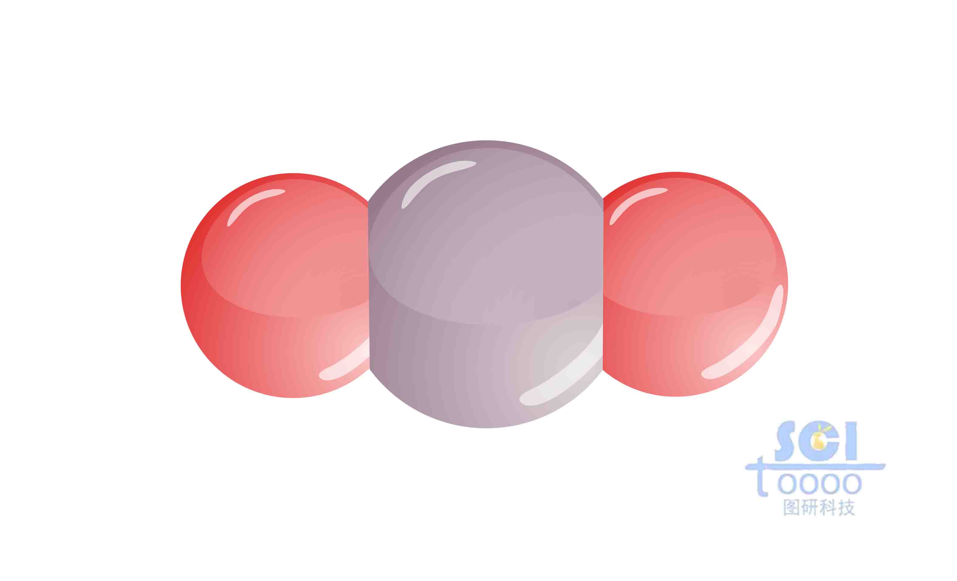 分子結構