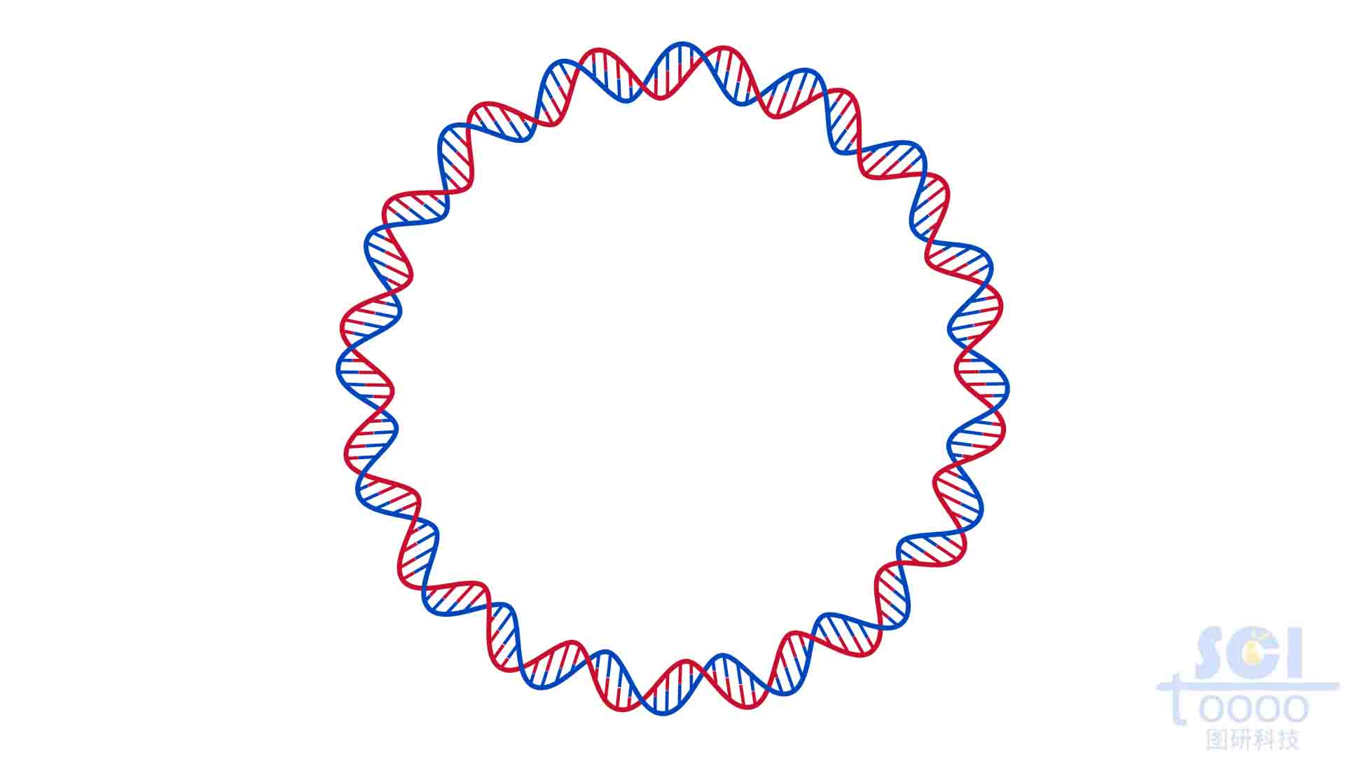 環狀DNA