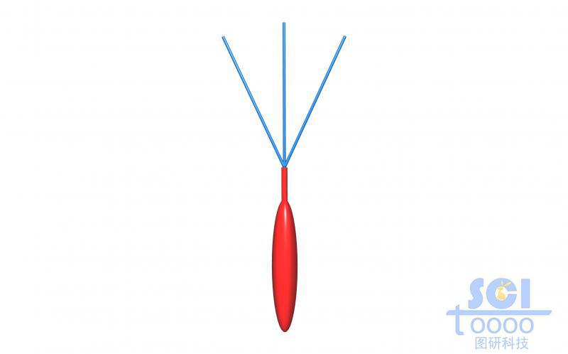 分子模式圖