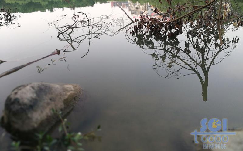 水素材