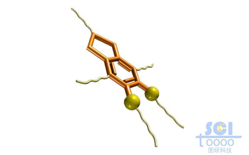 分子模式圖