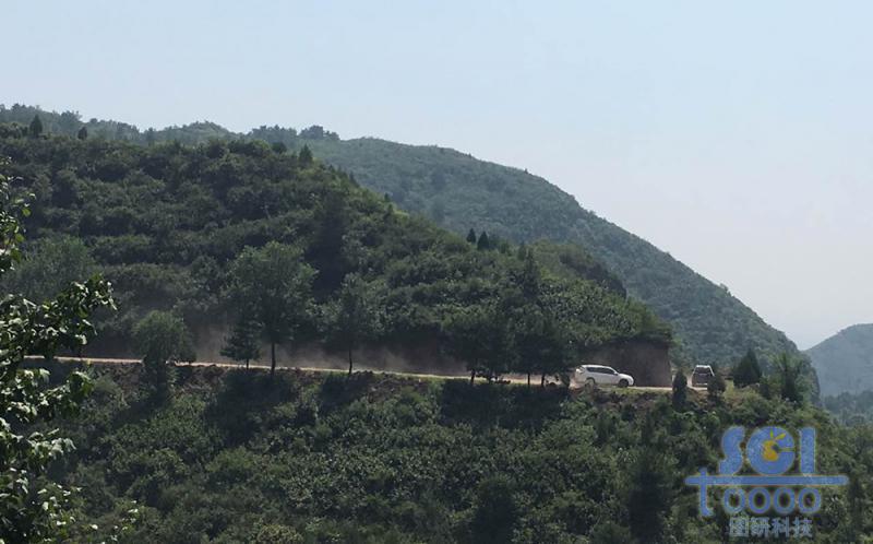 樹木素材