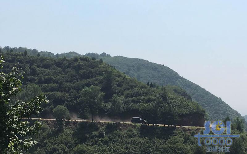 樹木素材