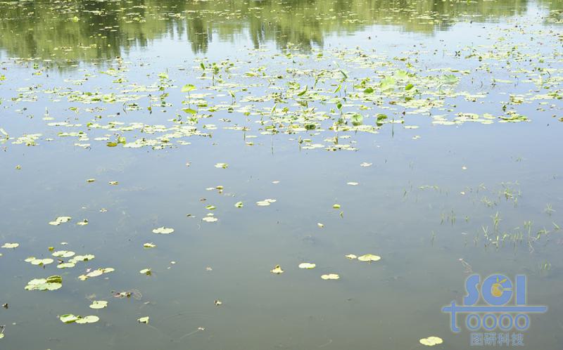 水素材