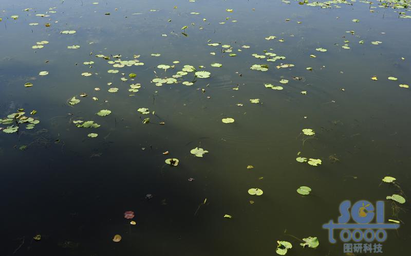 水素材
