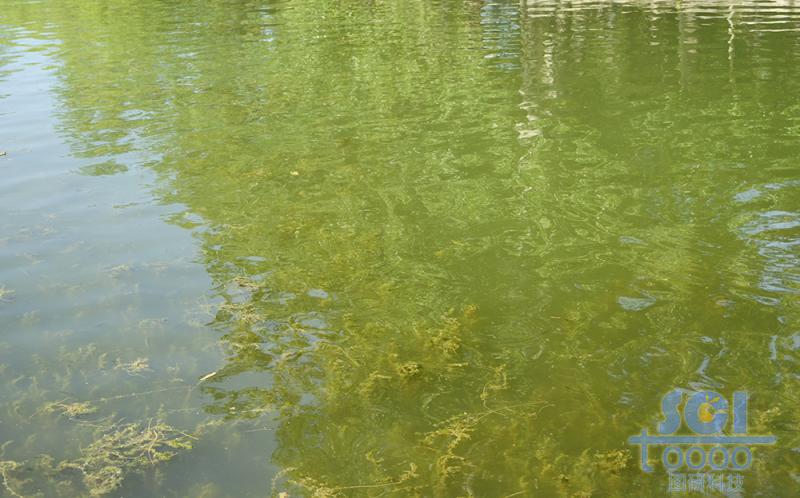 水素材