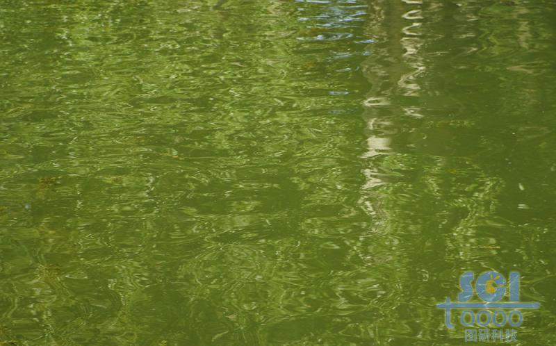 水素材