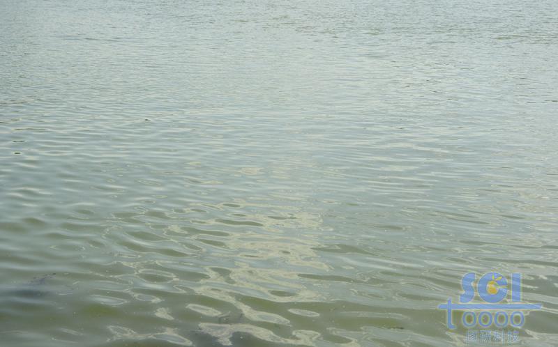 水素材
