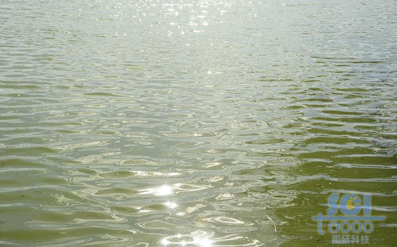水素材