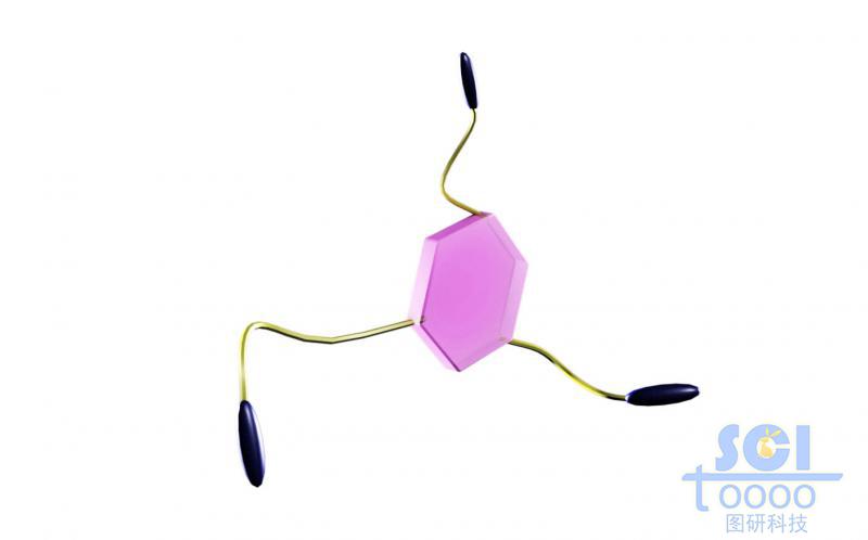 分子模式圖