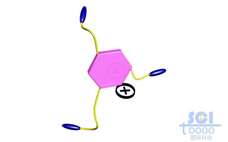 分子模式圖