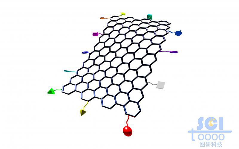 四周帶小分子基團(tuán)的柔性石墨烯片