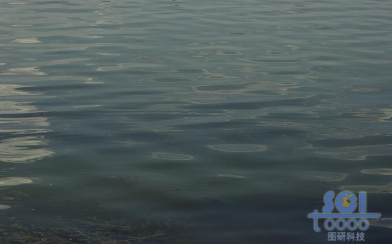 水素材