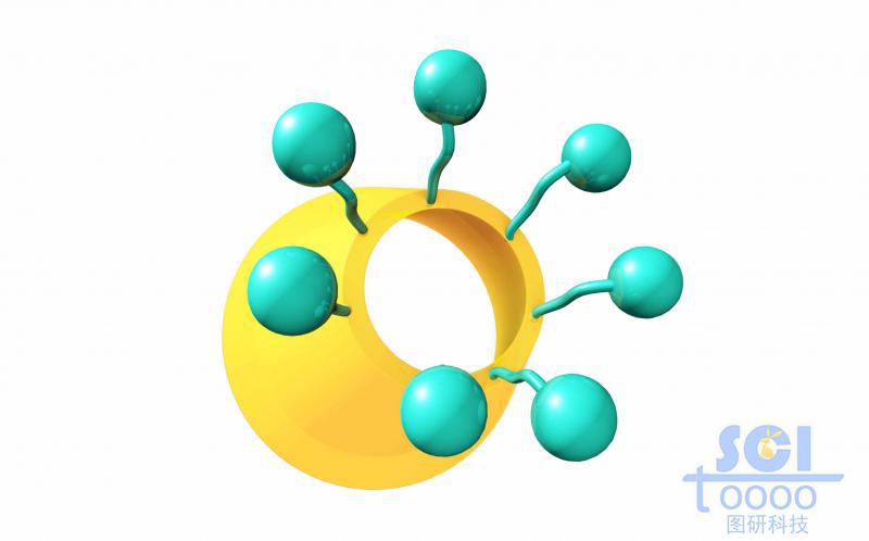 分子模式圖