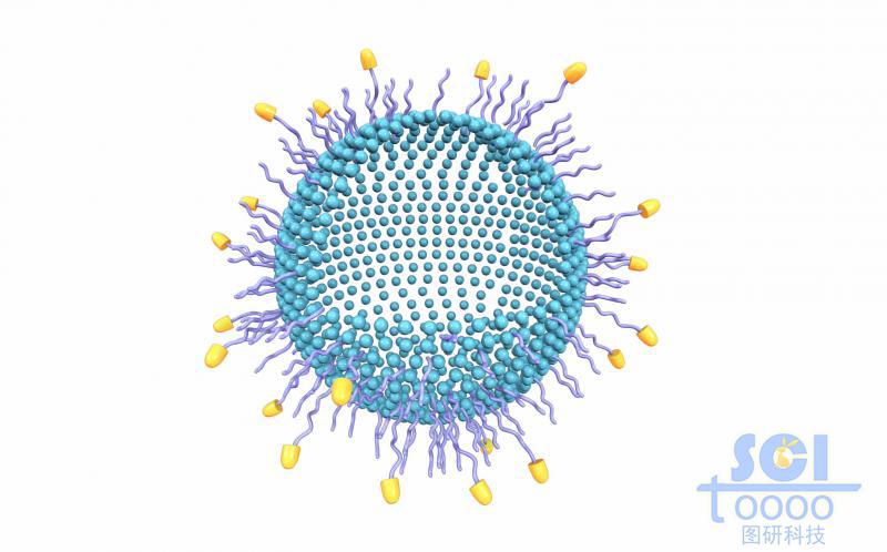 表面帶生物受體的空心納米藥物球內含DOX藥物