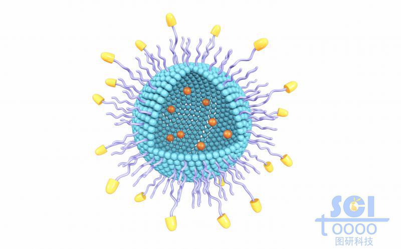 表面帶生物受體的空心納米藥物球內含DOX藥物