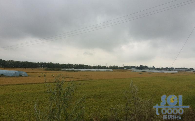 田園素材