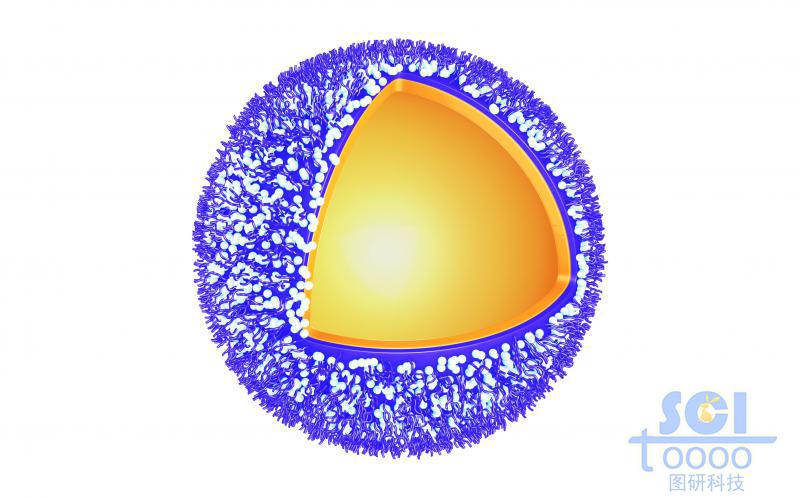 高分子鏈段交聯形成的內部包裹溶液/油/乳液的納米球/微球