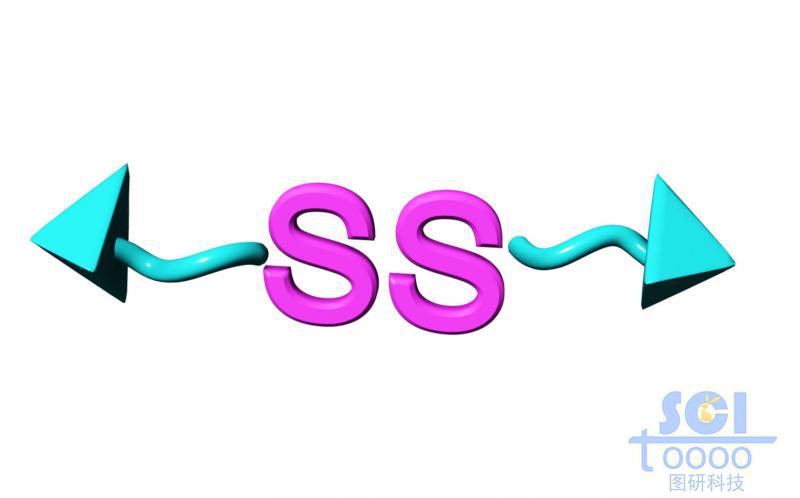 ss硫硫鍵