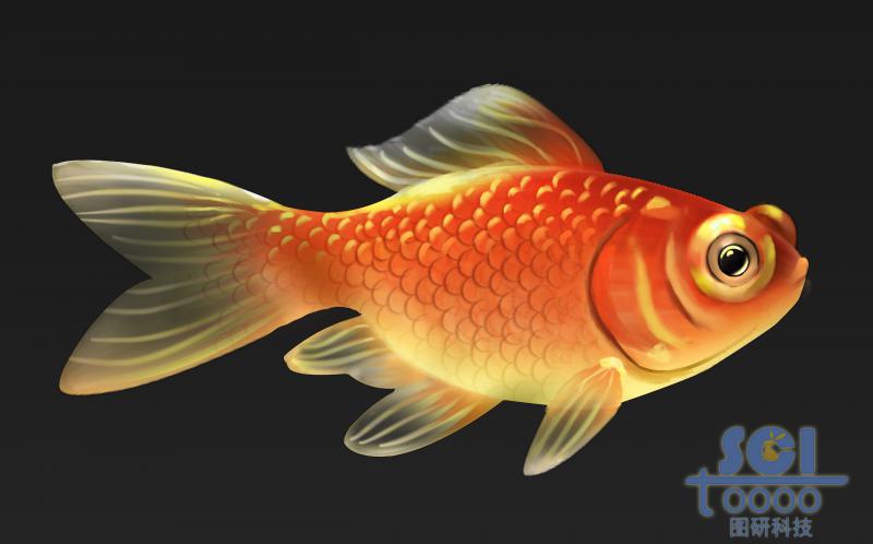 金魚