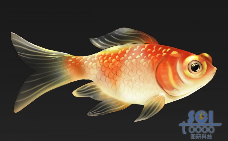 魚