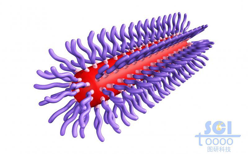 膠囊狀三段式高分子聚合結構