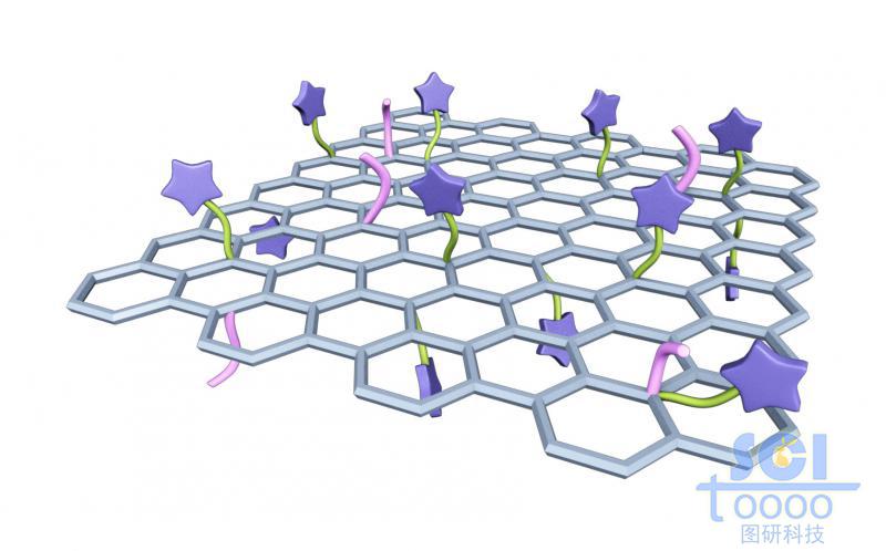 負載小分子基團和分子鏈段的石墨烯片