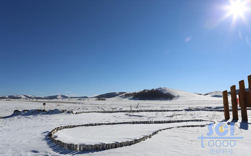 藍天雪地