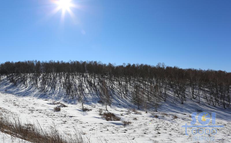 藍天雪地