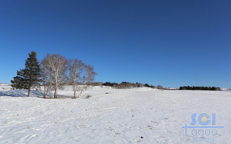 藍天雪地