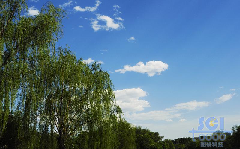 天空素材