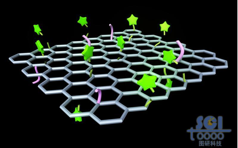 負載小分子基團和分子鏈段的石墨烯片