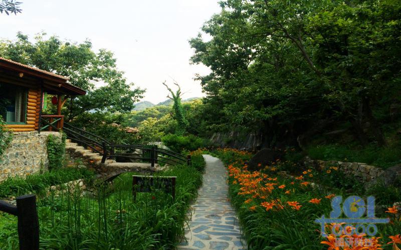 樹木素材