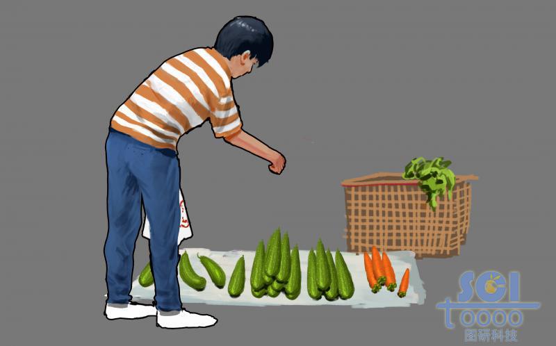 賣菜小商販