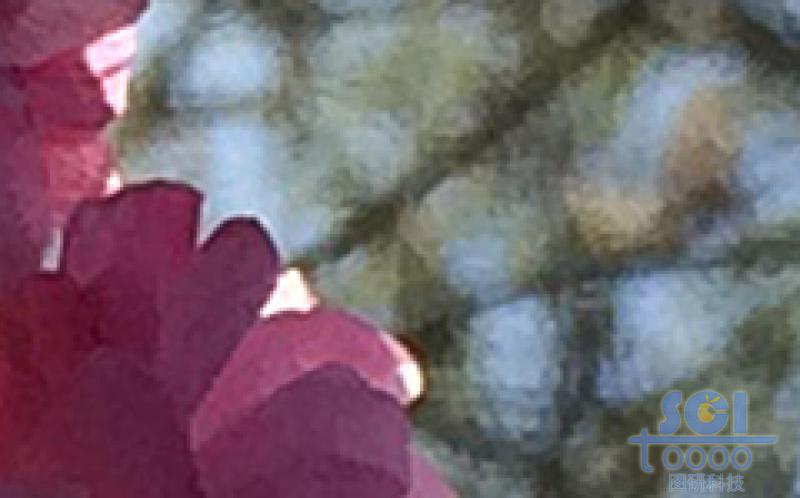 花素材