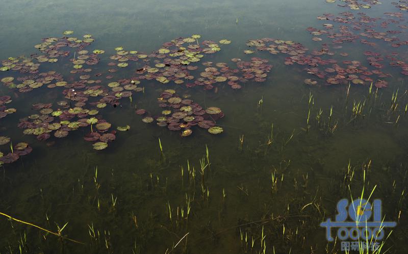 水素材