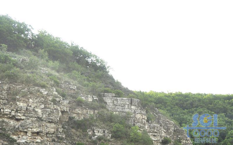 石頭素材