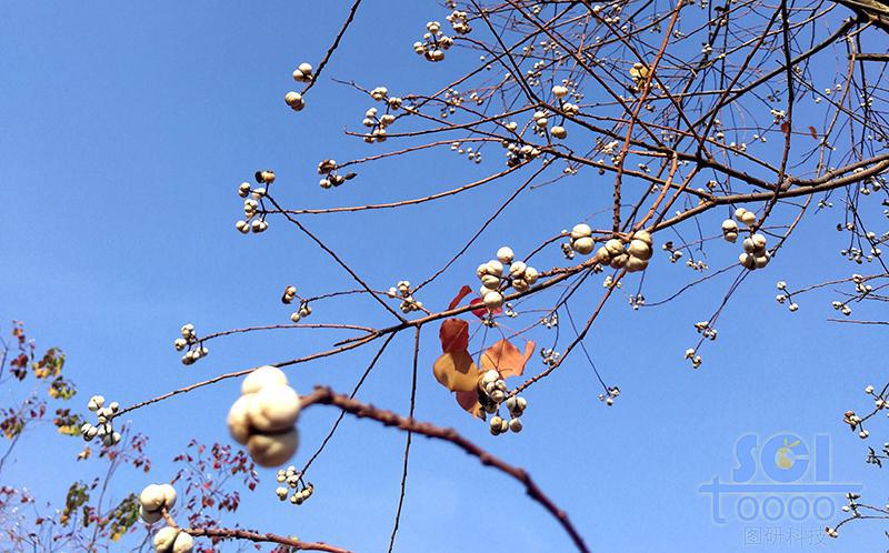 藍天素材