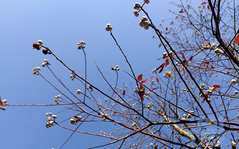 藍天素材